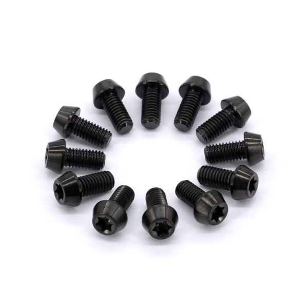 Titan Grade 5 Schrauben-Set M5x10-T25 für MTB Bremsscheiben